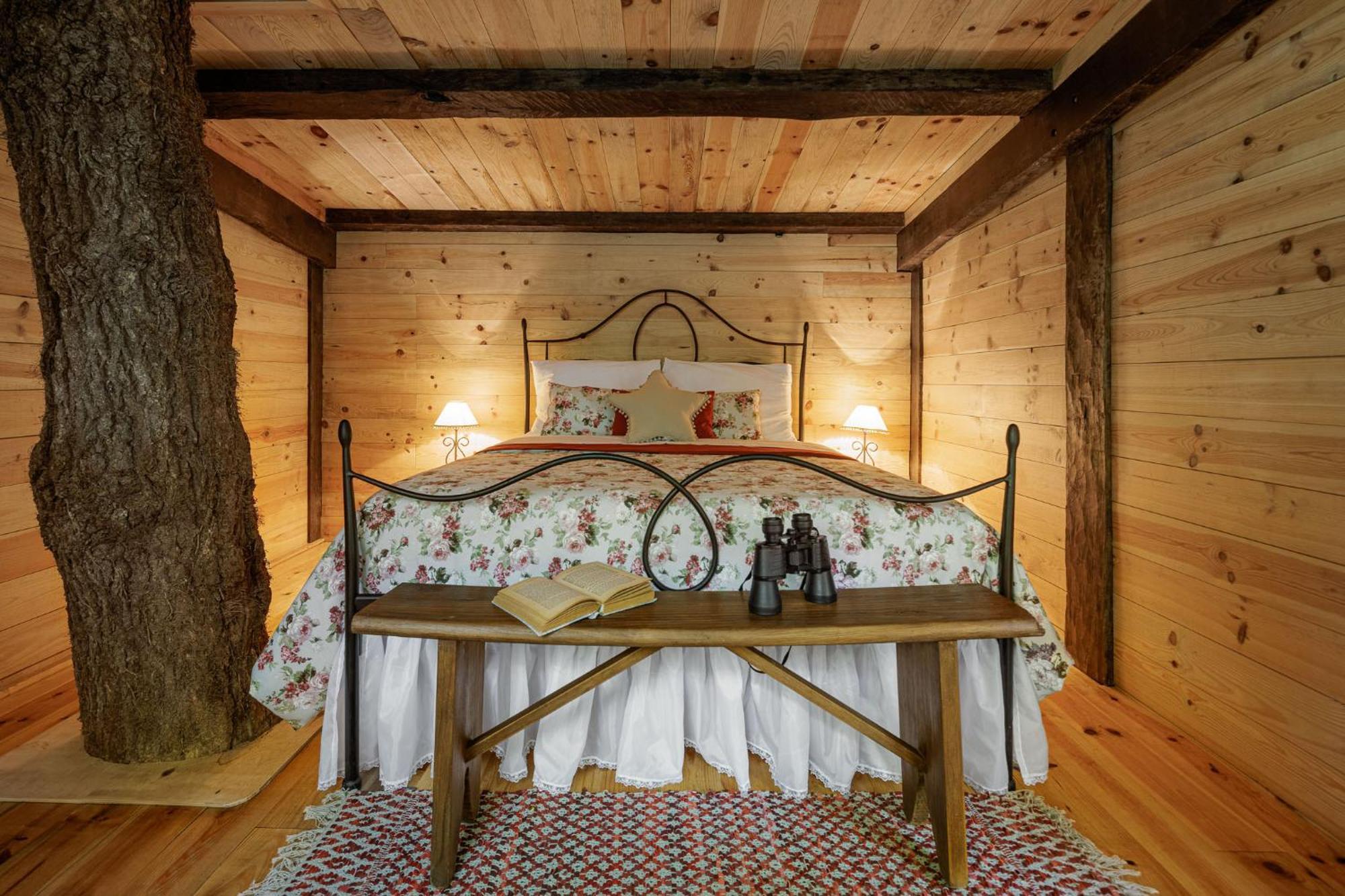 Be&See In River Ovar Room photo